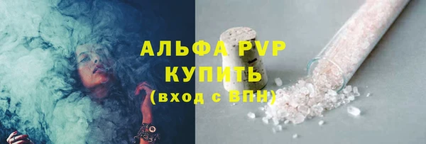 индика Верхний Тагил